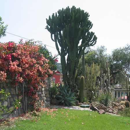 Ca Dei Conti Villa San Bartolomeo Al Mare Phòng bức ảnh