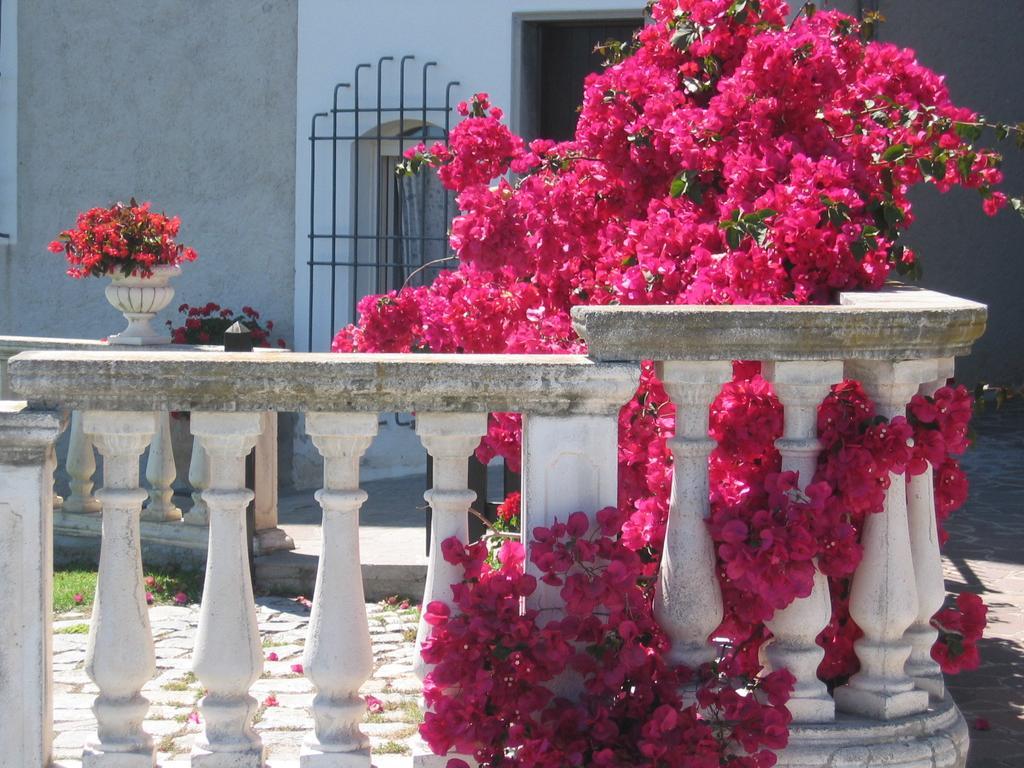 Ca Dei Conti Villa San Bartolomeo Al Mare Phòng bức ảnh